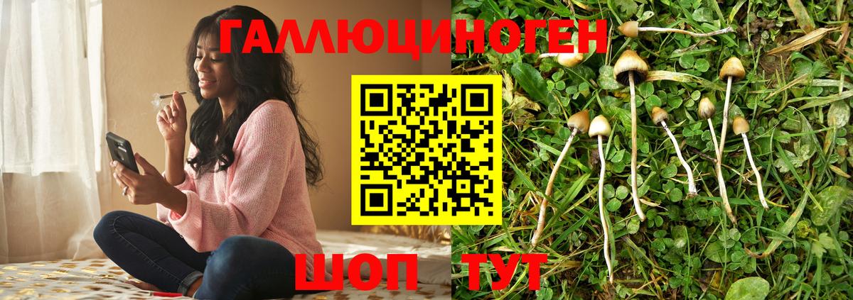 Псилоцибиновые грибы Psilocybe  Вход с VPN  Татарск  Псилоцибиновые грибы Cubensis 